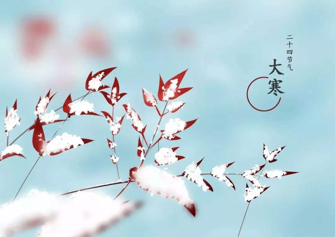 今日大寒！